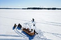 Ranua Guided Ice Fishing