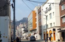 Seoul Palace and Seochon Hidden Spots Walking Tour