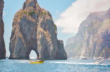 Capri and Anacapri: Boat Tour, Minibus, Chairlift and Lunch