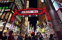 Tokyo Night Tour&Yakatabune Cruise,Sukiyaki,Shamisen&Tokyo Tower