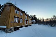 Tromsø Snowshoe Coastal and Forest Walk