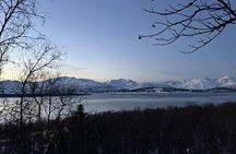 Tromsø Snowshoe Coastal and Forest Walk