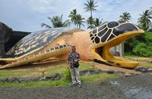 Private Heritage Day Tour from Colombo to Galle by Car