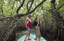 Private Heritage Day Tour from Colombo to Galle by Car