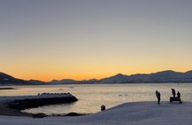 Tromsø Snowshoe Coastal and Forest Walk