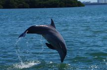 Raccoon Island Miami Boat Tour with Wildlife & Swimming