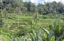 Bali Swing Volcano Rice Terrace And Waterfall Private Guided Tour