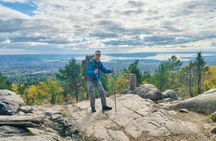 Oslo's Scenic Fjord Hike & Chef's Norwegian Forest Waffle