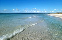 3 Hour Dolphin Snorkeling and Shell Key Adventure St. Pete Beach