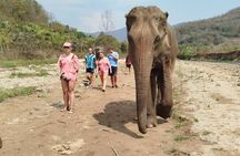 Elephant Sanctuary Chiang Mai, River Rafting, Zipline & Waterfall