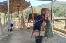 Elephant Sanctuary Chiang Mai, River Rafting, Zipline & Waterfall