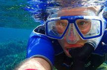 Miami Snorkeling Adventure off a Secluded Island from South Beach
