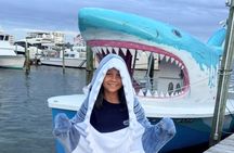 Shark Boat Destin Dolphin Watch and Sunset Cruise