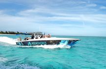 Bahamas Budget Adventure: Pigs, Snorkle, Turtles, and Beach