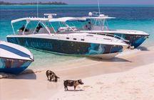 Bahamas Budget Adventure: Pigs, Snorkle, Turtles, and Beach