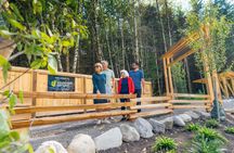 Post-Cruise Shore Excursion: the Best of Squamish Tour