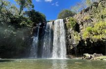Sloth, Coffee & Chocolate Experience with Waterfall Swimming