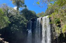 Sloth, Coffee & Chocolate Experience with Waterfall Swimming