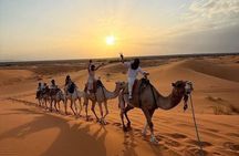 Private 3-Day Sahara Desert Tour – Luxury Camp & Camel Trek
