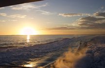 Sunset Dolphin Cruise in Destin Florida
