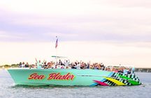 Dolphin Watching Cruise Adventure in Destin Florida
