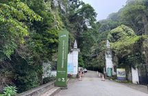 Tijuca Forest: Secret Waterfalls, Cave and Wildlife