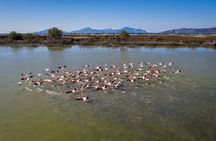 North Coast of Kos Private Sightseeing and Photo Tour