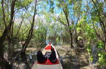 2 hour Guided Amazon Boat Tour