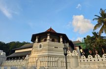 10 Days Tour in Sri Lanka