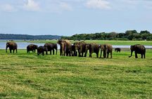 10 Days Tour in Sri Lanka