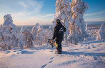 Snowmobile and Snowshoeing in Rovaniemi, Lapland