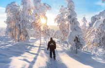 Snowmobile and Snowshoeing in Rovaniemi, Lapland