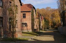 Auschwitz Birkenau Guided Tour - Ticket and Transfer From Krakow
