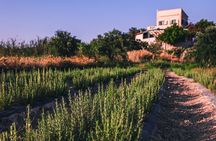 Cretan Farm Tour and Folklore Collection Visit