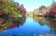Tokyo: Karuizawa, Kawagoe & Hoshino Resort Shrine Day Tour