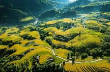 One Day Sapa Trekking to Lao Chai and Ta Van Villages