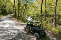 2 Hour Nantahala Guided Scenic Mountain Tour