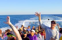 Dolphin Watching Cruise Adventure in Destin Florida