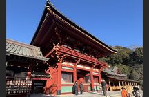 Private transfer: From Tokyo to Kamakura, Enoshima & Yokohama