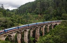 Sri Lanka Travel Guide 7 Days of Culture Safari and Beach Surfing