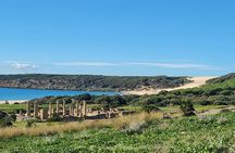 Tarifa (Cadiz): Guided tour Roman ruins facing the sea