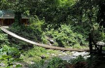 Dark View Fall Rainforest Waterfall Adventure with Scenic Drive