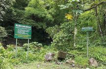 Dark View Fall Rainforest Waterfall Adventure with Scenic Drive