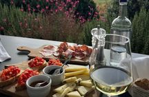 Tuscany Day San Gimignano & Certaldo with Organic Winery Lunch