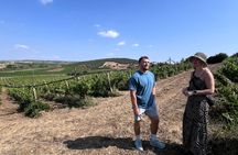 Wine Tour from Cagliari - Visit the vineyard and wine tasting