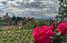 Small group guided tour of the Alhambra max 10 people