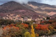 Atlas mountains : 3 valleys day tour with lunch from Marrakech 