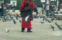 Marrakech: Private Tour Casablanca & Hassan II Mosque