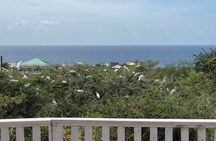 St.Kitts Big Banana Half Day Island Tour with Beach Time & Drinks