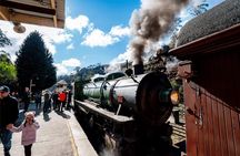 Blue Mountains Zig Zag Railway with Scenic World Tour
